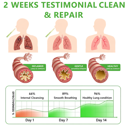 💥HISKIN® Botanical MulleinLung Cleanse Diffuser💥 💥